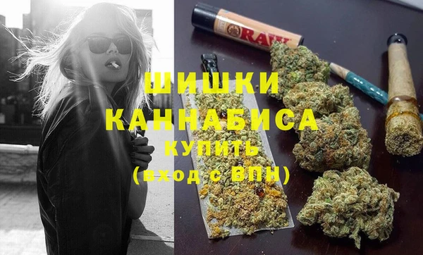 PSILOCYBIN Кукмор