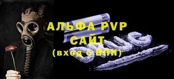 PSILOCYBIN Кукмор