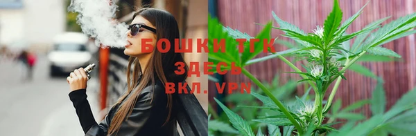 PSILOCYBIN Кукмор