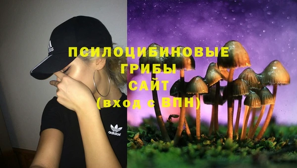 PSILOCYBIN Кукмор