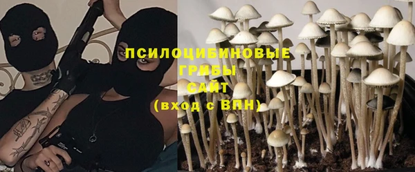 PSILOCYBIN Кукмор