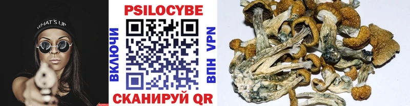 Псилоцибиновые грибы MAGIC MUSHROOMS  Купить  Ипатово 